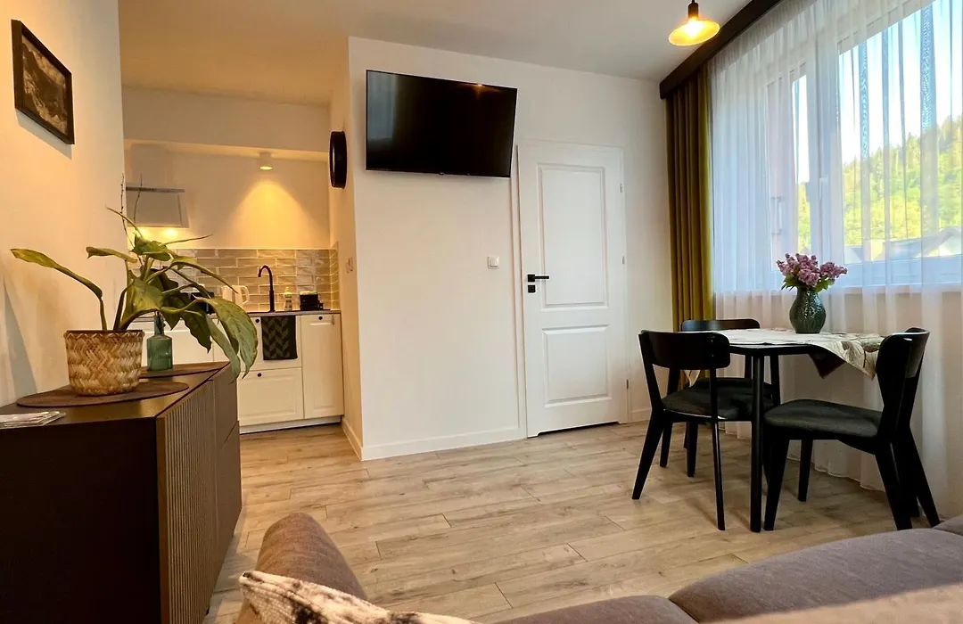 Apartamenty Kamieniec 21, Zakopane-1